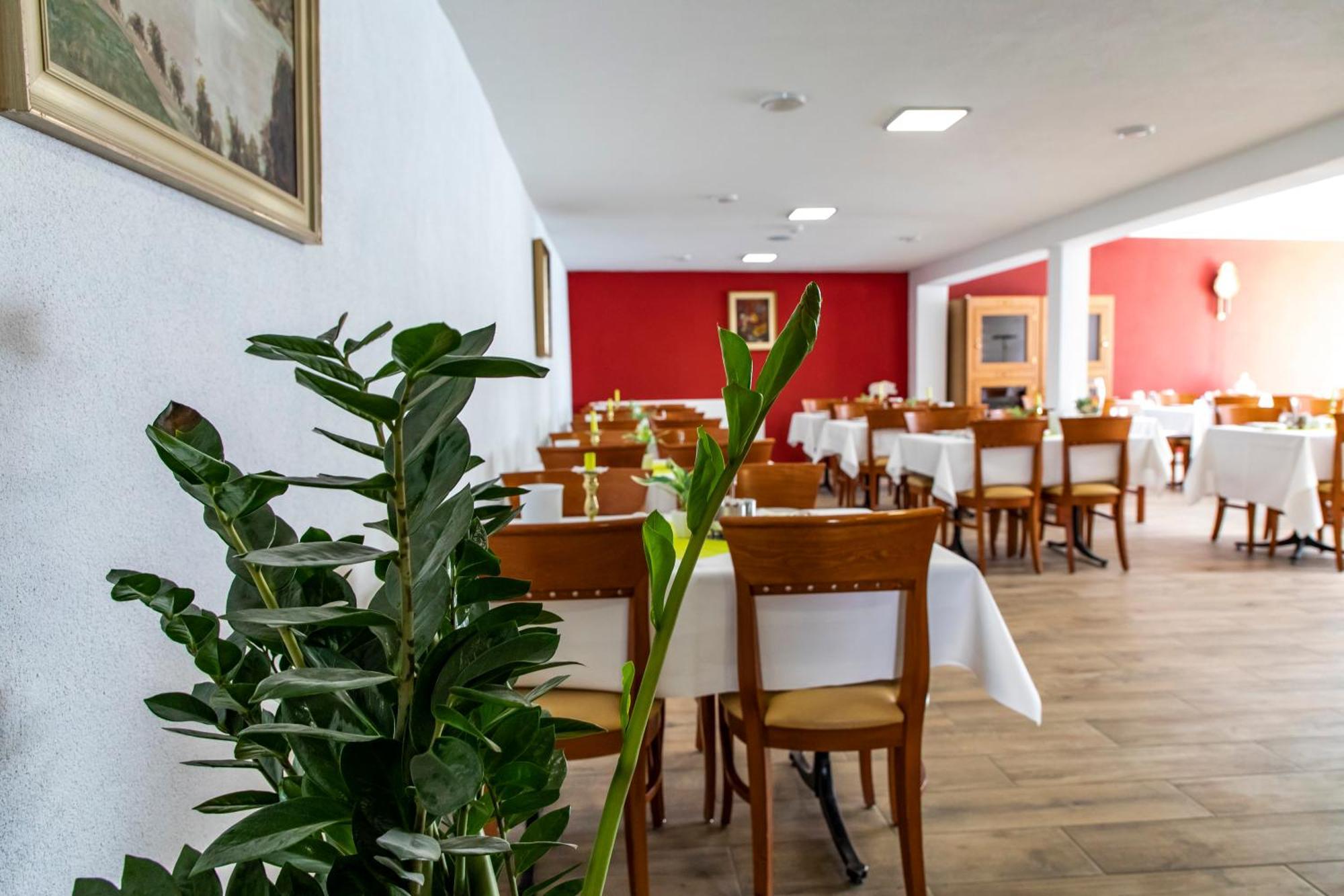 Hotel Jaegerhaus In Singen Am Hohentwiel Kültér fotó